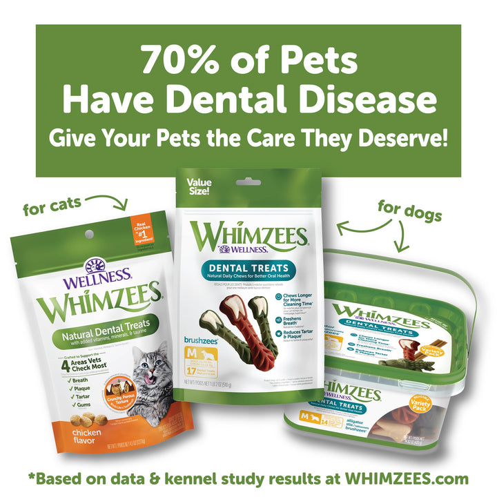 Whimzees Wellness Natural Cat Dental Treats, Chicken & Salmon Flavor, 2 Ounce 2 Ounce (Pack of 1)