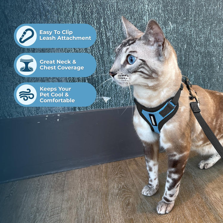 Voyager Step-in Lock Cat Harness w Reflective Cat Leash Combo Set with Neoprene Handle 5ft - Supports Small, Medium and Large Breed Cats by Best Pet Supplies - Baby Blue/Black Trim, XXXS Harness Leash Set (Baby Blue/Black Trim)