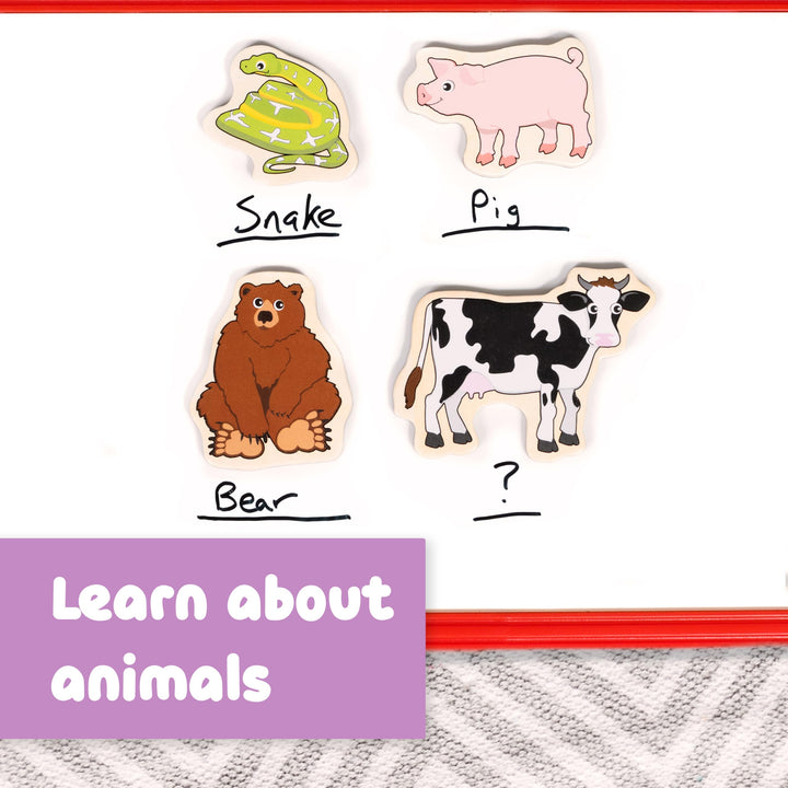 SPARK & WOW Wooden Magnets - Animals - Set of 20 - Magnets for Kids Ages 2+ - Cute Animal Magnets for Fridges, Whiteboards and More