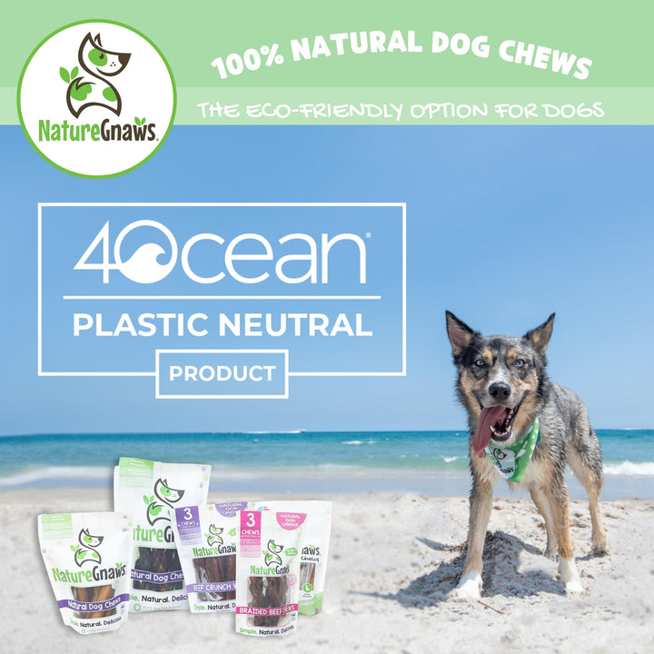 Nature Gnaws - Turkey Tendons for Dogs - Premium Natural Chew Treats - Delicious Reward Snack for Small Medium & Large Dogs - Made in The USA - 1 lb
