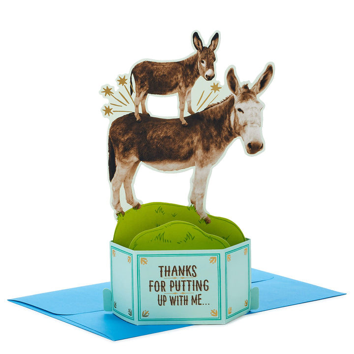 Hallmark Paper Wonder Shoebox Funny Pop Up Fathers Day Card or Birthday Card from Son or Daughter (Donkeys, Pain in The) Donkeys, Pain in the . . .