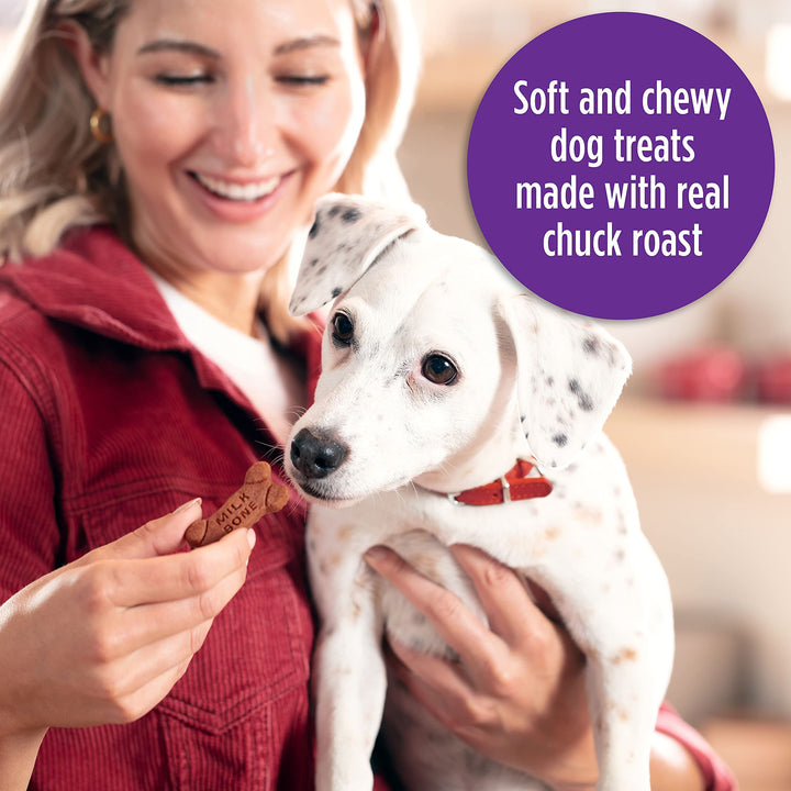 Milk-Bone Soft & Chewy Dog Treats, Beef & Filet Mignon Recipe, 25 Ounce Made with Real Chuck Roast 1.56 Pound (Pack of 1)