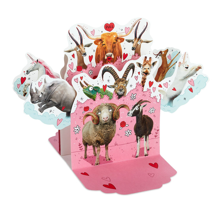 Hallmark Funny Pop Up Valentines Day Card for Husband, Wife, Boyfriend, Girlfriend (Horny Animals) Pop Up, Horny Animals