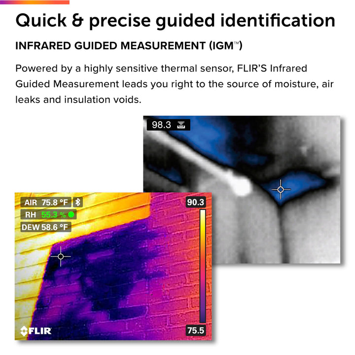 FLIR MR265 Moisture Meter and Thermal Imager with MSX