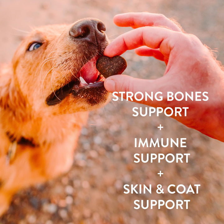 Shameless Pets Soft-Baked Dog Treats, Vegetarian Variety 3-Pack - Natural & Healthy Dog Chews for Small, Medium & Large Dogs - Dog Biscuits Baked & Made in USA, Free from Grain, Corn & Soy Plant-Based Variety Pack 6 Ounce (Pack of 3)
