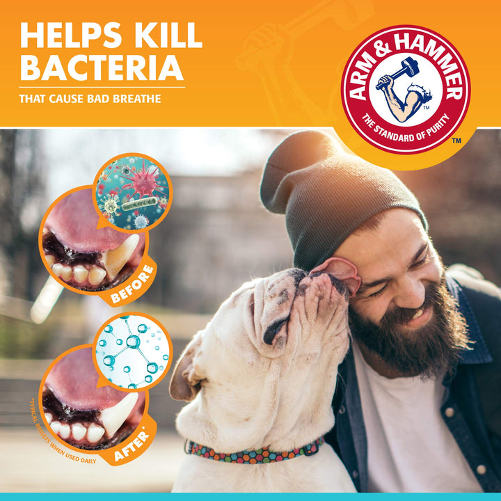 Arm & Hammer for Pets Dental Toothpaste for Dogs | No More Doggie Breath | Safe for All Dogs and Puppies | Chicken Flavor Dog Toothpaste - 3 Pack for Long-Lasting Use Fresh Breath - Chicken 2.5 Ounce (Pack of 3)