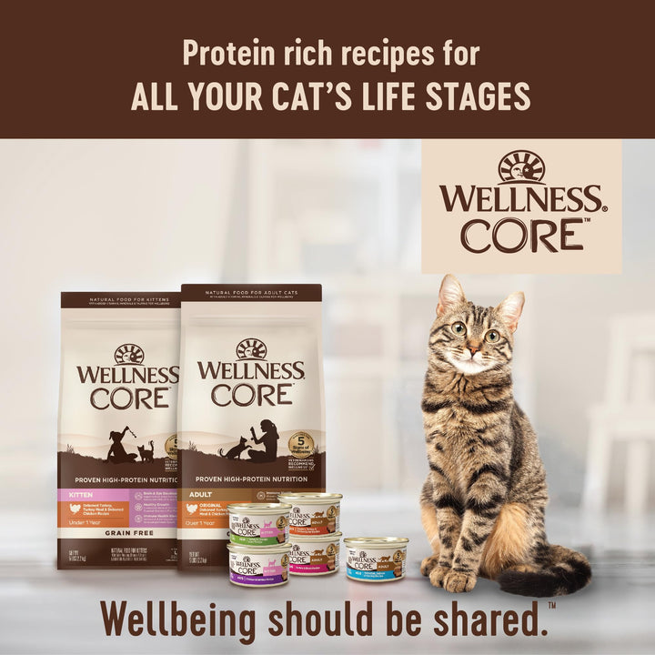 Wellness CORE Natural Grain-Free High Protein Adult Dry Cat Food Recipe, Turkey, Turkey Meal and Duck Formula, 11 Pound Bag 11 Pound (Pack of 1)