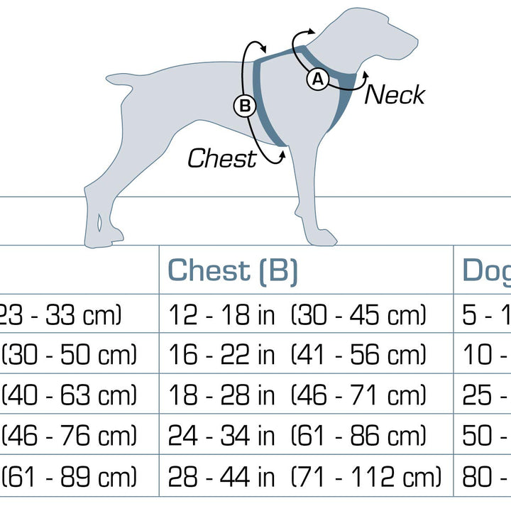 Kurgo K01933 Dog Harness for Large, Medium, & Active Dogs, Pet Hiking Harness for Running & Walking, Everyday Harnesses for Pets, Reflective, Journey Air, Blue/Grey 2018, Small