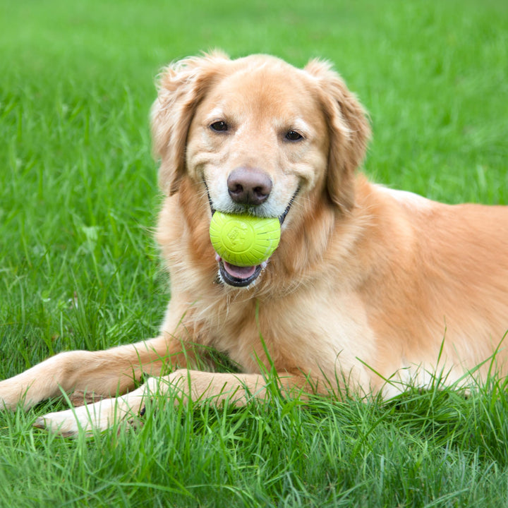 Chew King,Dog 3 Inch Supreme Rubber Balls (4-Pack)for Large Breeds Supreme Yellow Fetch Ball 3" / 4 PK