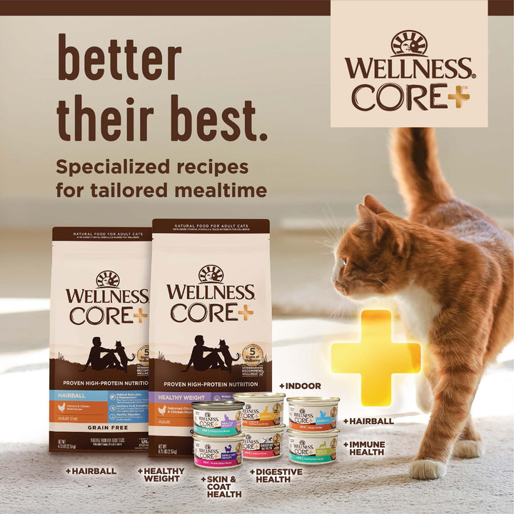 Wellness CORE Natural Grain-Free High Protein Adult Dry Cat Food Recipe, Turkey, Turkey Meal and Duck Formula, 11 Pound Bag 11 Pound (Pack of 1)