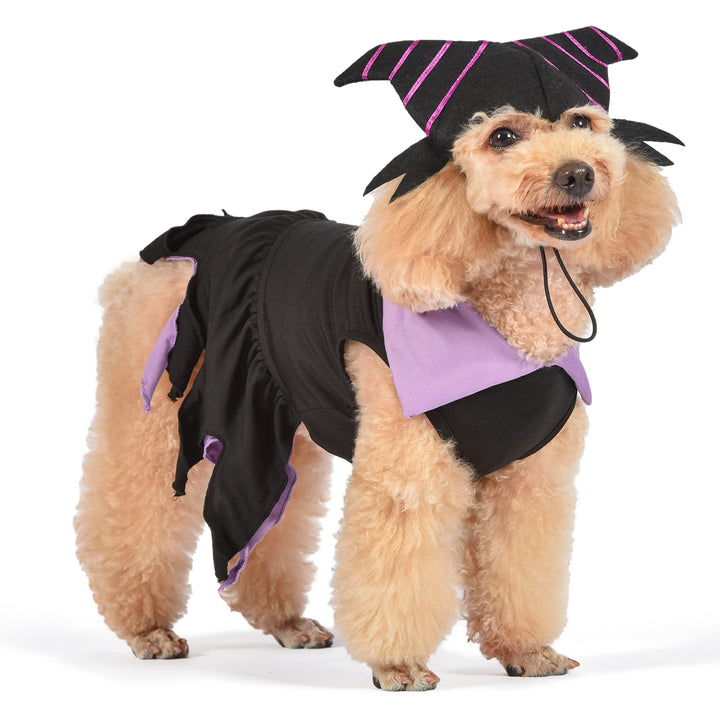 Halloween Disney Villains Maleficent Costume - Small - | Disney Villains Halloween Costumes for Dogs, Officially Licensed Disney Dog Halloween Costume, Purple (FF22960)