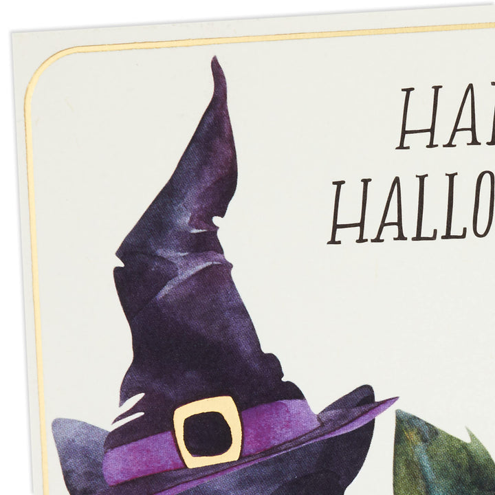 Hallmark Pack of Halloween Cards, Cat in Witch Hat (6 Cards with Envelopes)