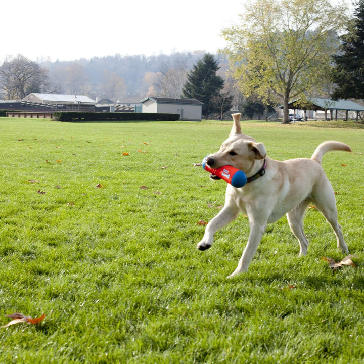 Chuckit! Amphibious Tumble Bumper Dog Toy, Floats on water,Large Large Tumbler Bumper