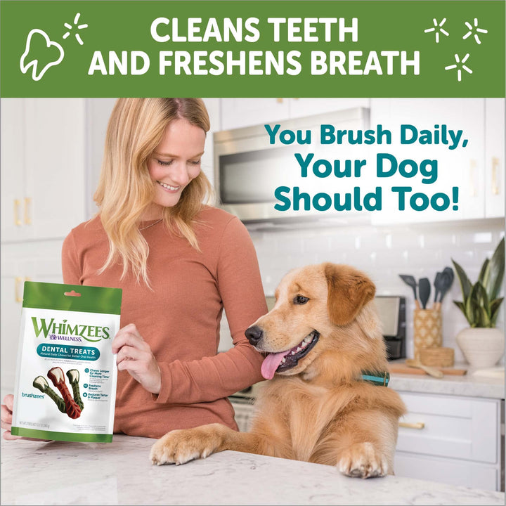 WHIMZEES by Wellness Brushzees Natural Dental Chews for Dogs, Long Lasting Treats, Grain-Free, Freshens Breath, Large Breed, 6 count 6 Count (Pack of 1) Standard Pack