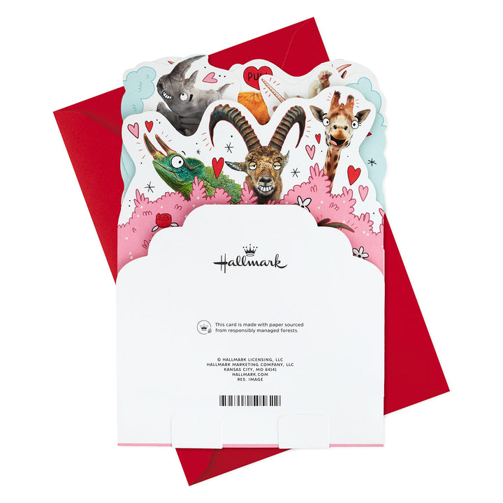 Hallmark Funny Pop Up Valentines Day Card for Husband, Wife, Boyfriend, Girlfriend (Horny Animals) Pop Up, Horny Animals