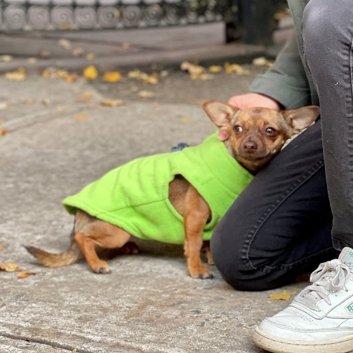 Gooby Zip Up Fleece Dog Sweater - Lime, X-Small - Warm Pullover Fleece Step-in Dog Jacket with Dual D Ring Leash - Winter Small Dog Sweater - Dog Clothes for Small Dogs Boy and Medium Dogs X-Small chest (~11")