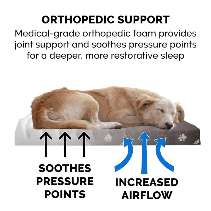 Furhaven Water-Resistant Orthopedic Dog Bed for Small Dogs w/ Removable Washable Cover, For Dogs Up to 20 lbs - Indoor/Outdoor Garden Print Mattress - Bark Brown, Small Water-Resistant Garden Print (Bark Brown) 20.0"L x 15.0"W x 3.0"Th Orthopedic Foam