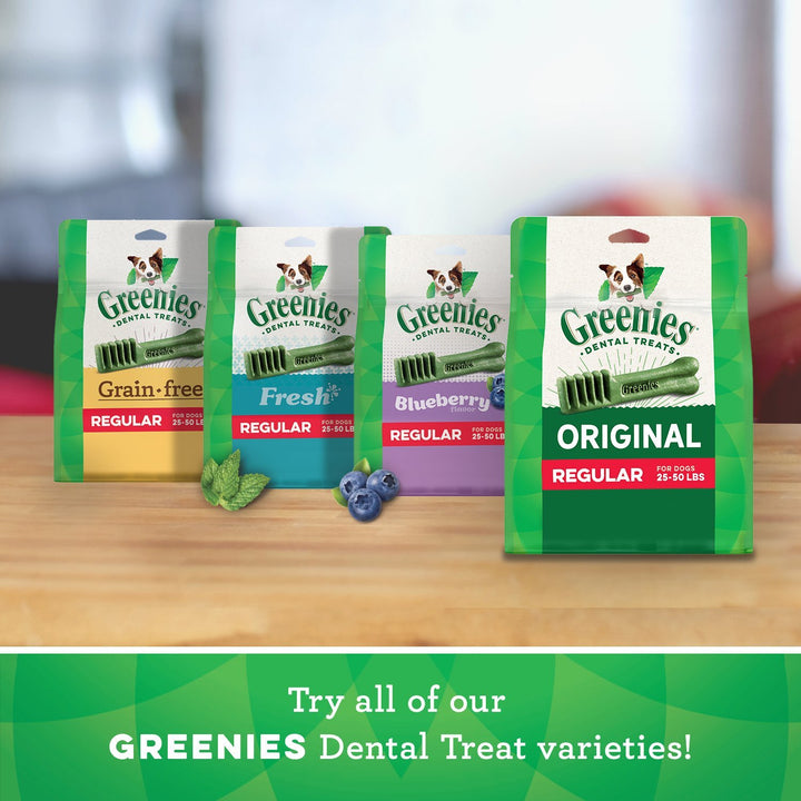 Greenies Regular Natural Dental Care Dog Treats Fresh Flavor, 12 oz. Pack (12 Treats) Mint 12 Count (Pack of 1)