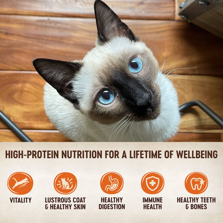 Wellness CORE Tiny Tasters Wet Cat Food, Complete & Balanced Natural Pet Food, Made with Real Meat, 1.75-Ounce Pouch, 12 Pack (Adult Cat, Chicken & Beef Pate) 1.75 Ounce (Pack of 12)