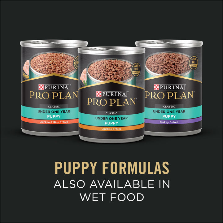 Purina Pro Plan Sensitive Skin and Stomach Puppy Food Lamb and Oat Meal Formula - 16 lb. Bag Lamb & Oat 16 Pound (Pack of 1)