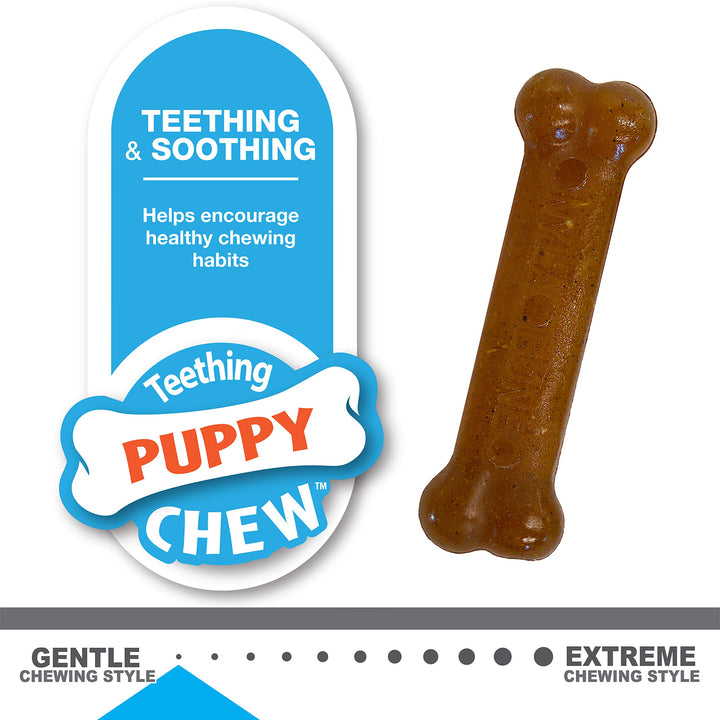 Nylabone Teething Puppy Chew Starter Kit, Two Puppy Chew Toys, Puppy Supplies, Peanut Butter & Chicken Flavor, X-Small/Petite (2 Count) X-Small/Petite (2 Count)