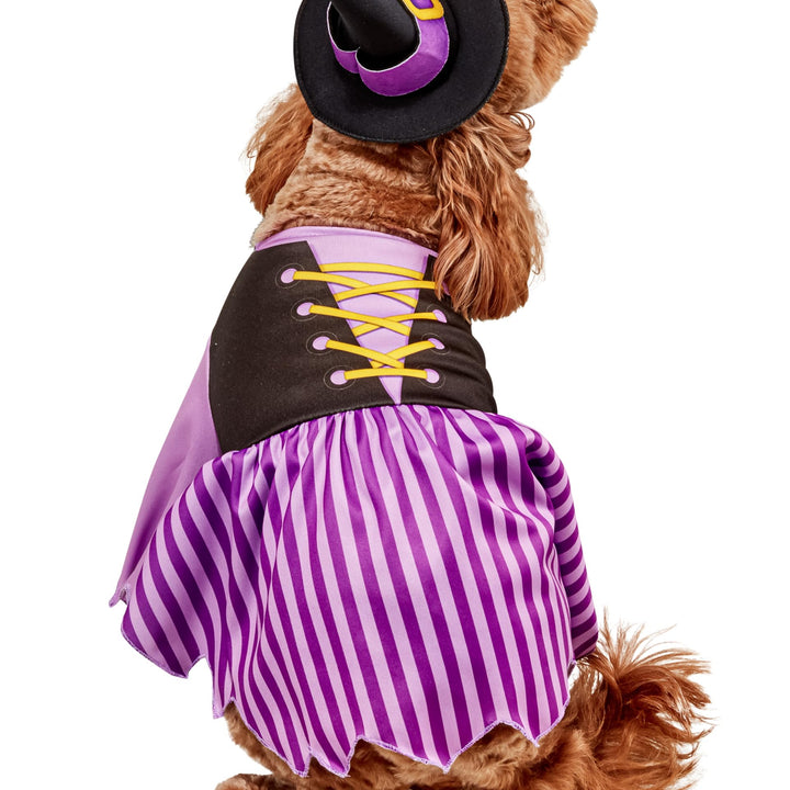 Rubies Witch Fun and Cute Pet Costume Dress and Hat for Themed Party and Halloween, Medium As Shown