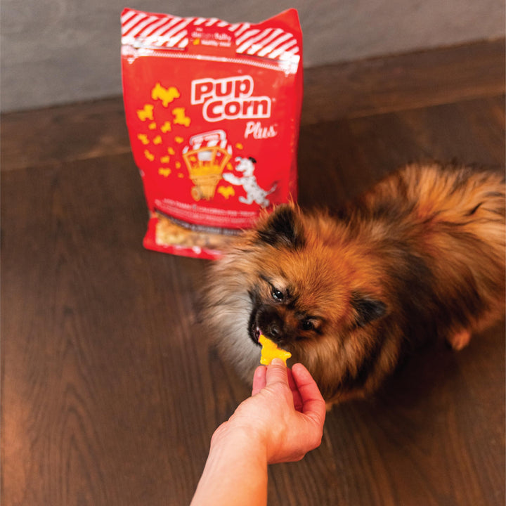 Plus - Puffed Dog Treats with Prebiotics and Probiotics - Bacon & Peanut Butter (24oz) - Made in USA 24 oz.