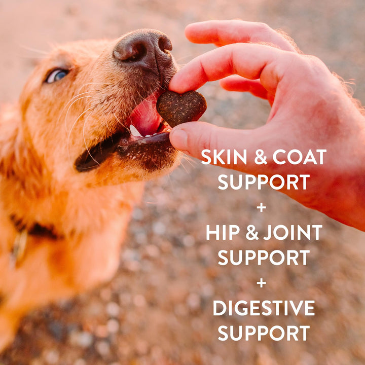 Shameless Pets Soft-Baked Dog Treats, Fish & Poultry Variety 3-Pack - Natural & Healthy Dog Chews for Small, Medium & Large Dogs - Dog Biscuits Baked & Made in USA, Free from Grain, Corn & Soy Fish & Poultry Variety Pack 6 Ounce (Pack of 3)