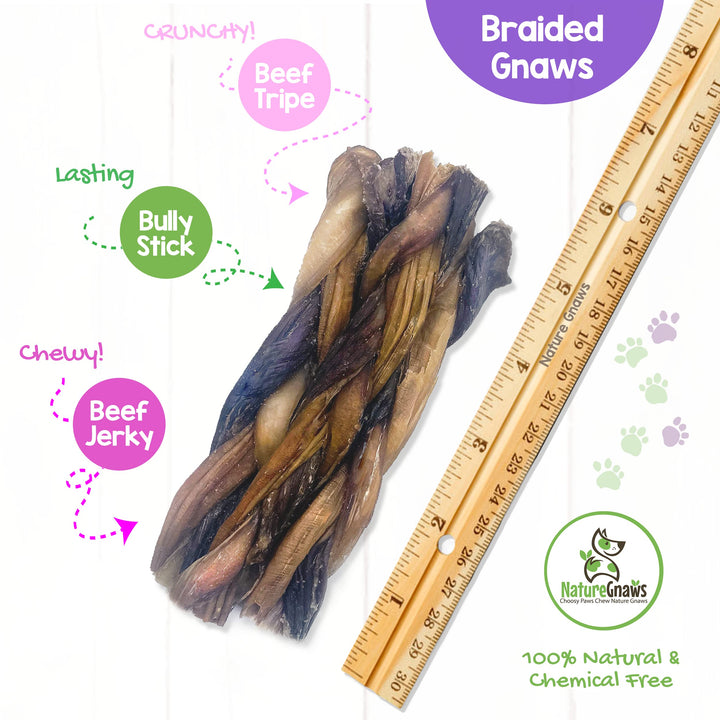 Nature Gnaws Braided Gnaws for Dogs - Premium Natural Beef Dog Chew Treats - Combo of Bully Sticks, Gullet Jerky and Tripe Twists - Rawhide Free 1 Count (Pack of 1)