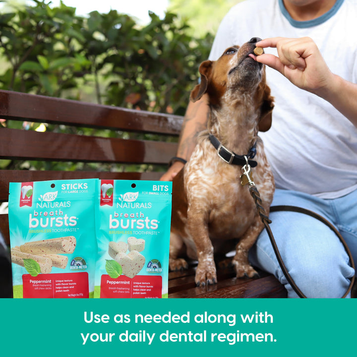 ARK NATURALS Breath Bursts Brushless Toothpaste, Dog Dental Sticks for Large Breeds, Unique Texture Helps Clean Teeth & Freshen Breath, Cinnamon, 6 oz, 1 Pack 6 Ounce (Pack of 1)