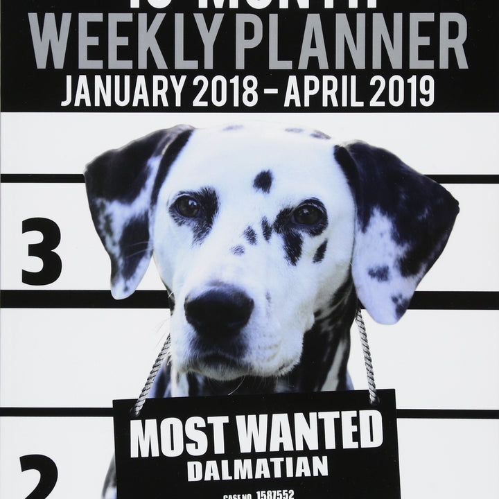 2018-2019 Weekly Planner - Most Wanted Dalmatian: Daily Diary Monthly Yearly Calendar Large 8.5" x 11" Schedule Journal Organizer (Dog Planners 2018-2019)