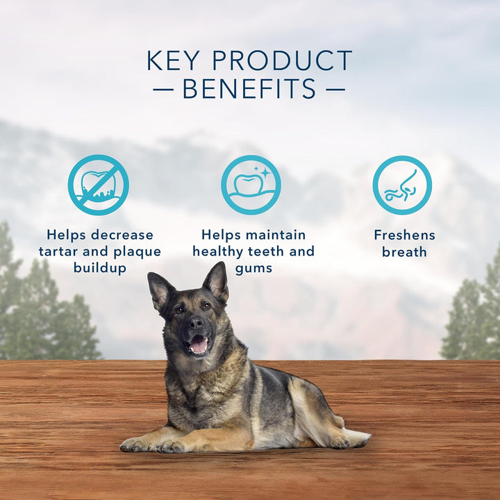 Blue Buffalo Wilderness Trail Treats Wild Bones Large Dental Chews, Grain-Free Dog Bones For Large Dogs Made with Natural Ingredients, 10-oz. Bag 10 Ounce (Pack of 1)