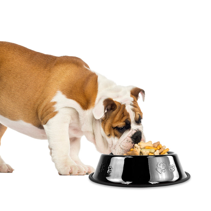 Platinum Pets Non-Tip Stainless Steel Dog Bowl, 28 Oz, Midnight Black Medium