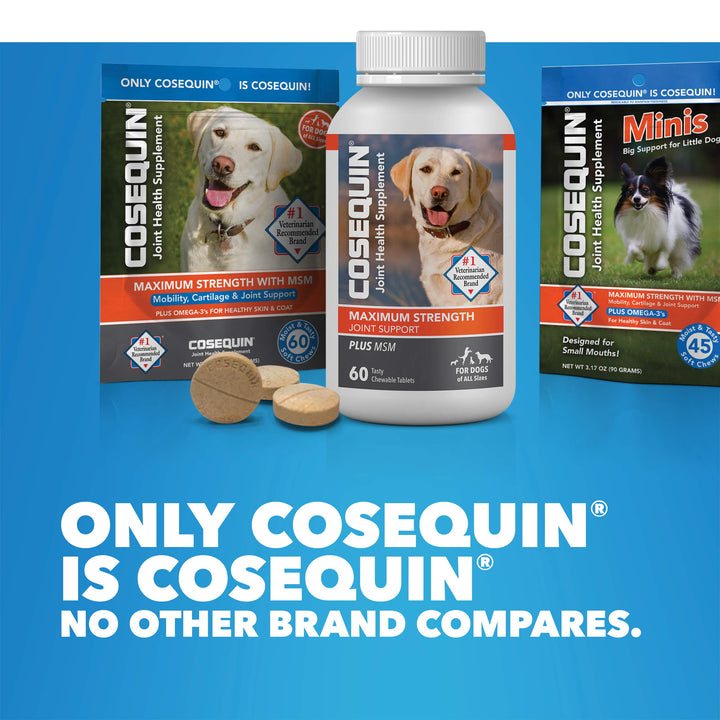 Cosequin Joint Health Supplement for Dogs - With Glucosamine, Chondroitin, MSM, and Omega-3's, 120 Soft Chews