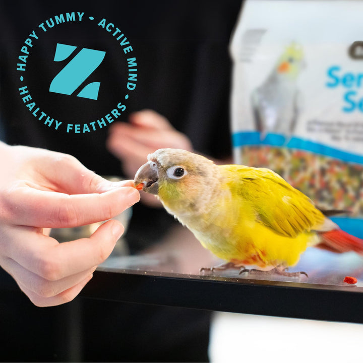 ZuPreem Sensible Seed Bird Food, , Cockatoo, Macaw, Seed and Pellet Blend for Large Birds, Food Mixer Topper, Enriching Variety, Made in USA, Bird Seed for Large Birds, Macaw Food (L, 2 lb) Sensible Seed & Pellet Blend 2 Pound (Pack of 1)