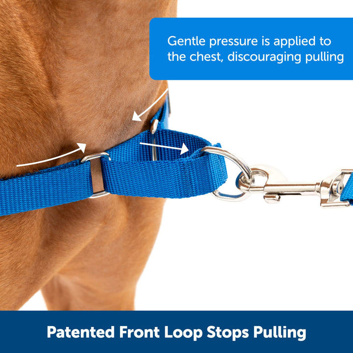 PetSafe Easy Walk Dog Harness - Stop Pulling & Teach Leash Manners - Prevent Pulling on Walks - Medium, Charcoal/Black