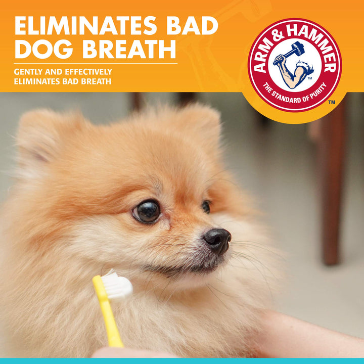 Arm & Hammer for Pets Dental Toothpaste for Dogs | No More Doggie Breath | Safe for All Dogs and Puppies | Chicken Flavor Dog Toothpaste - 3 Pack for Long-Lasting Use Fresh Breath - Chicken 2.5 Ounce (Pack of 3)