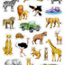 Teacher Created Resources Safari Stickers (TCR7089)