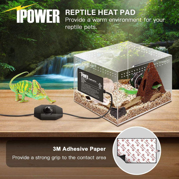 iPower 4 by 7-Inch 4 Watts Reptile Heating Mat with Temperature Controller Under Tank Warmer Terrarium Heat Pad for Reptiles and Amphibians, Black 4" x 7" Black/Heat Pad With Adjust Knob