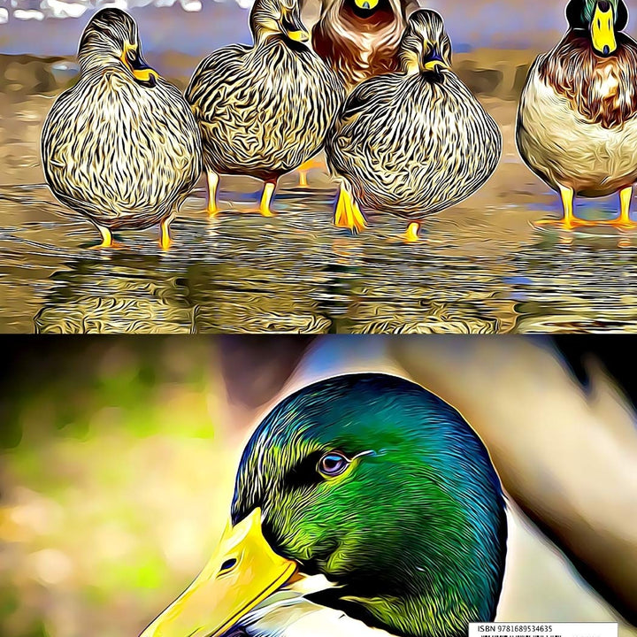 2020 Planner - Daily and Monthly Planners: The Perfect Gift - 2020 Planner for Duck Lovers. Men, Women and Kids Love These Diaries (2020 Planners)