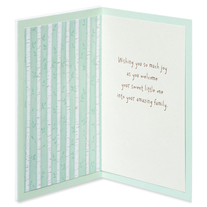 American Greetings New Baby Card (Your Amazing Family) Your Amazing Family