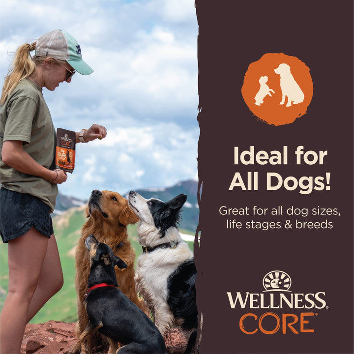 Wellness CORE Soft Tiny Trainers (Previously Petite Treats), Natural Grain-Free Dog Treats for Training, Made with Real Meat, No Artificial Flavors (Turkey & Pomegranate, 6 Ounce Bag) Turkey 6 Ounce (Pack of 1)