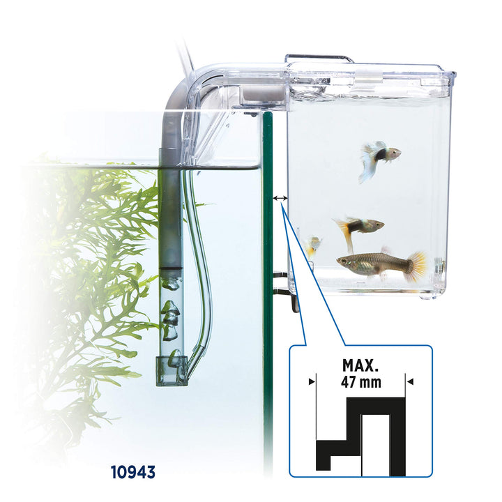 Fluval Multi-Chamber Holding and Breeding Box, Large  Up To 3 Separate Housing Compartments