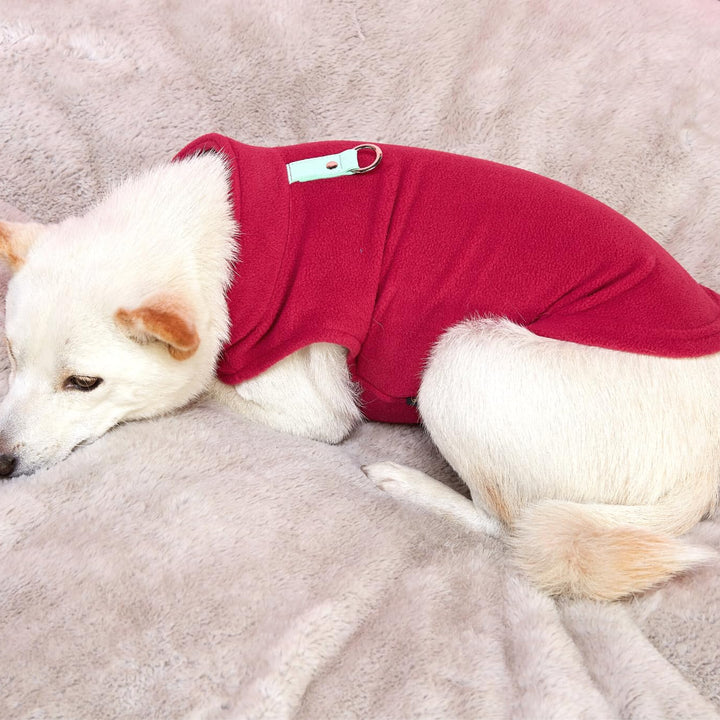 Gooby Fleece Vest Dog Sweater - Fuchsia, X-Small - Warm Pullover Fleece Dog Jacket with O-Ring Leash - Winter Small Dog Sweater Coat - Cold Weather Dog Clothes for Small Dogs Boy or Girl