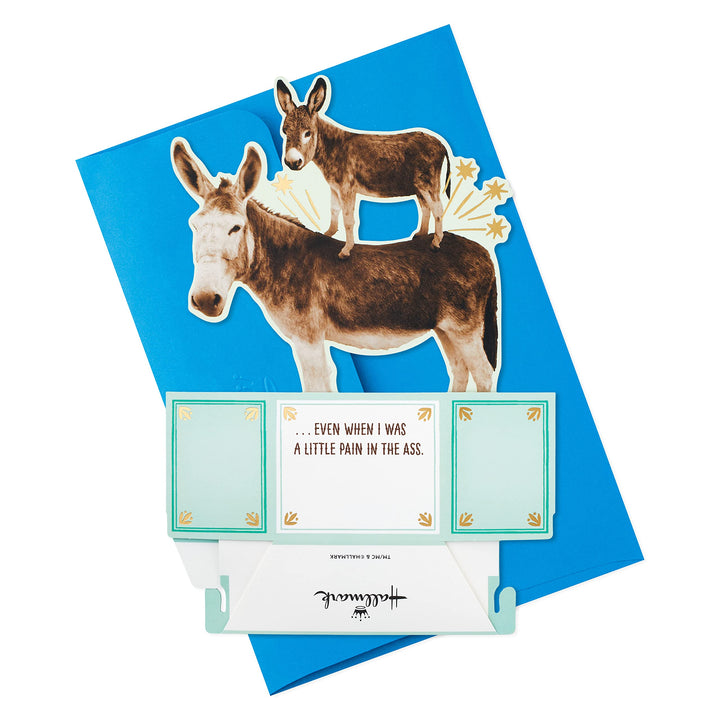 Hallmark Paper Wonder Shoebox Funny Pop Up Fathers Day Card or Birthday Card from Son or Daughter (Donkeys, Pain in The) Donkeys, Pain in the . . .