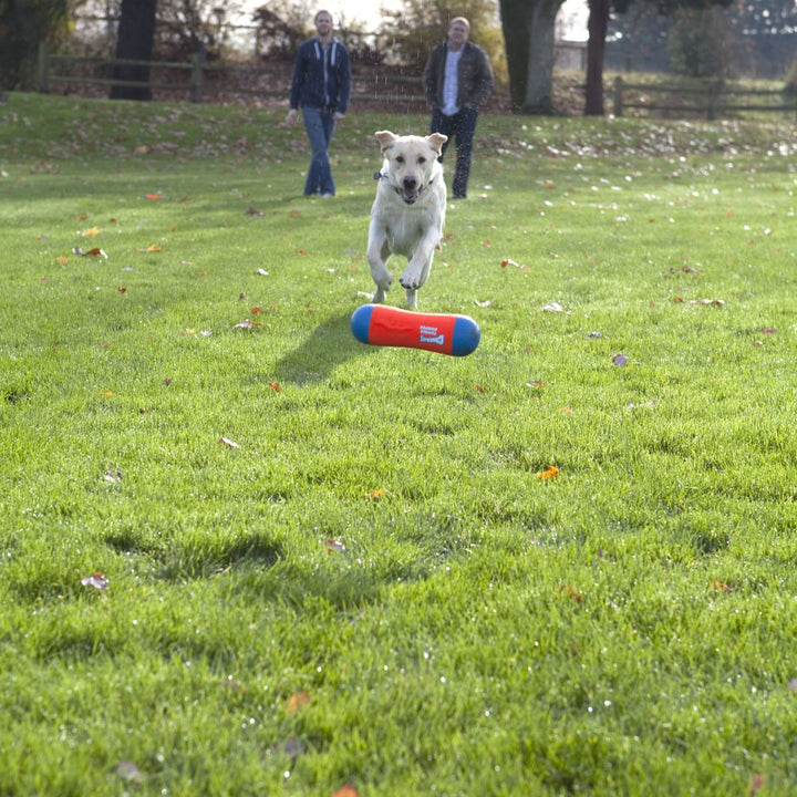 Chuckit! Amphibious Tumble Bumper Dog Toy, Floats on water,Large Large Tumbler Bumper