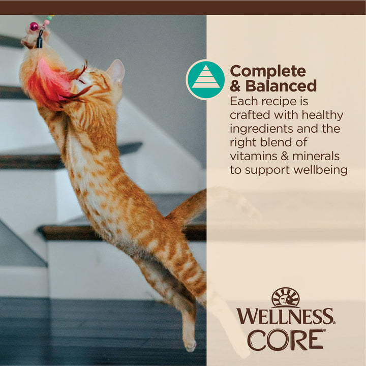 Wellness CORE Tiny Tasters Wet Cat Food, Complete & Balanced Natural Pet Food, Made with Real Meat, 1.75-Ounce Pouch, 12 Pack (Adult Cat, Flaked Tuna & Salmon in Gravy) Adult Cat 1.75 Ounce (Pack of 12)