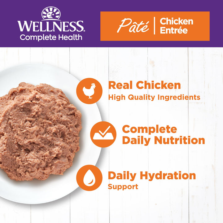 Wellness Complete Health Grain-Free Wet Canned Cat Food, Natural Ingredients, Made with Real Meat, All Breeds, Smooth Pate (Turkey & Salmon, 12.5-Ounce Can, Pack of 12) Turkey 12.5 Ounce (Pack of 12)