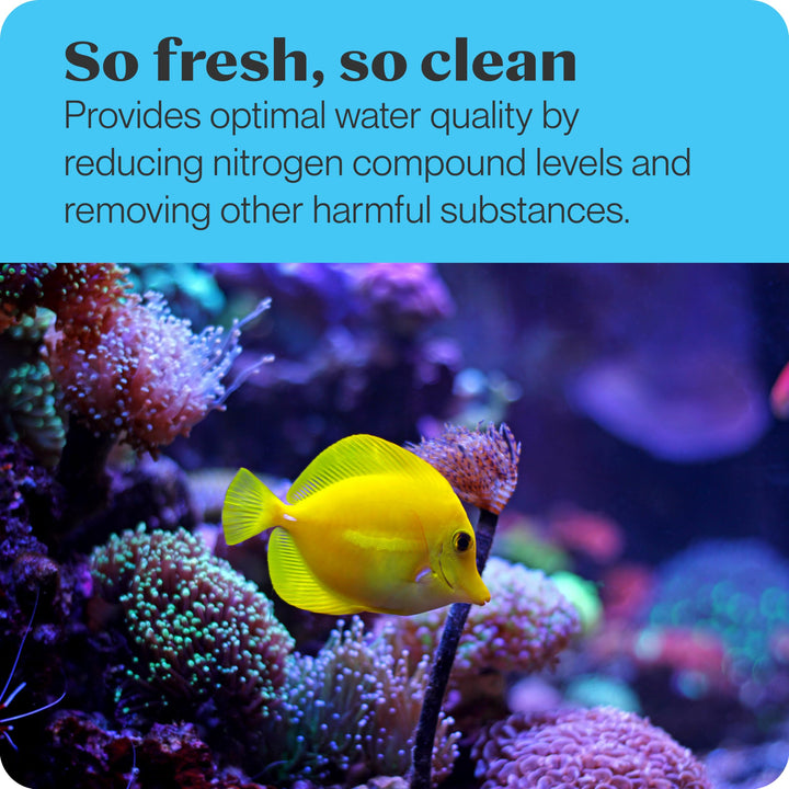 Brightwell Aquatics MicroBacter7 - Bacteria & Water Conditioner for Fish Tank or Aquarium, Populates Biological Filter Media for Saltwater and Freshwater Fish 250ml