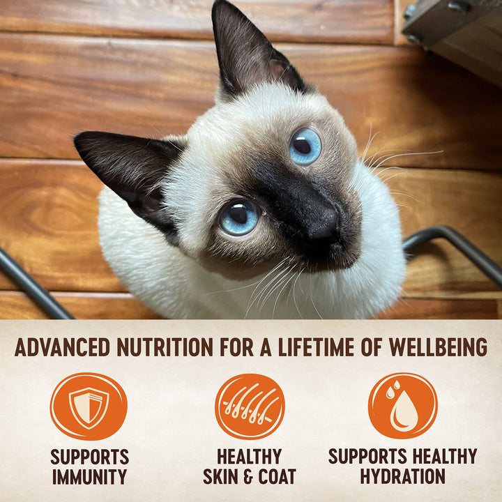 Wellness CORE Tiny Tasters Wet Cat Food, Complete & Balanced Natural Pet Food, Made with Real Meat, 1.75-Ounce Pouch, 12 Pack (Adult Cat, Tuna Pate)